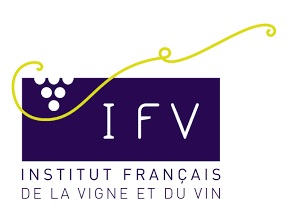 IFV