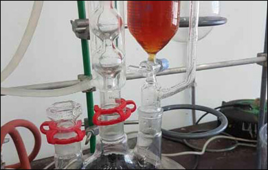 Bio Acid